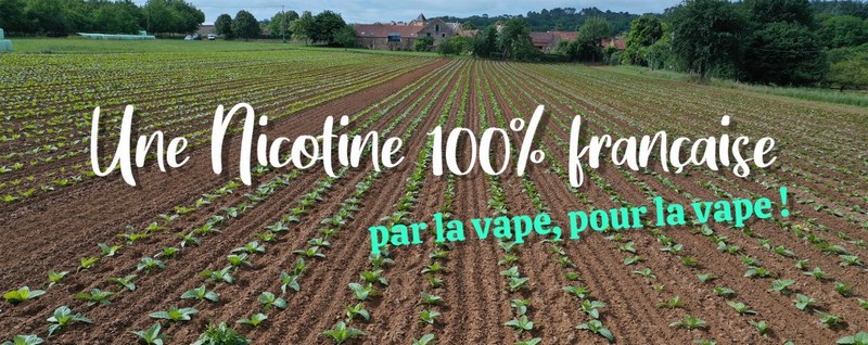 vdlv-et-la-nicotine-vapologique-blog-le-petit-vapoteur (1)